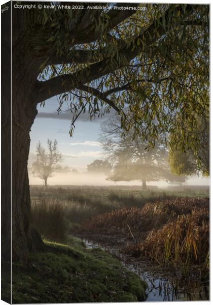 Under the tree at dawn Canvas Print by Kevin White