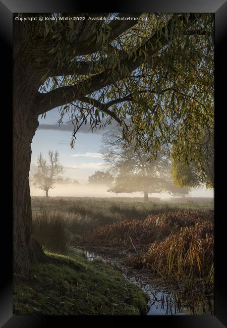 Under the tree at dawn Framed Print by Kevin White