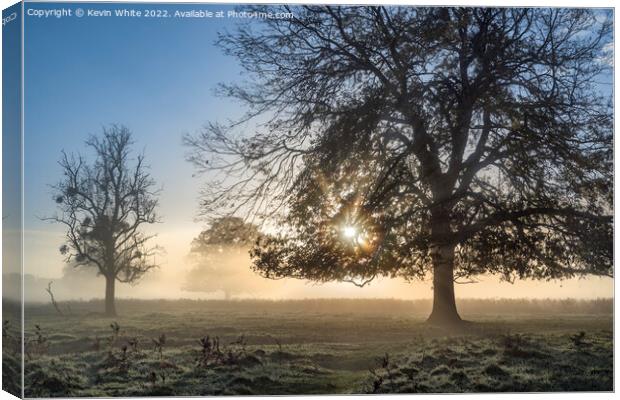 Sunlight  through the mist Canvas Print by Kevin White