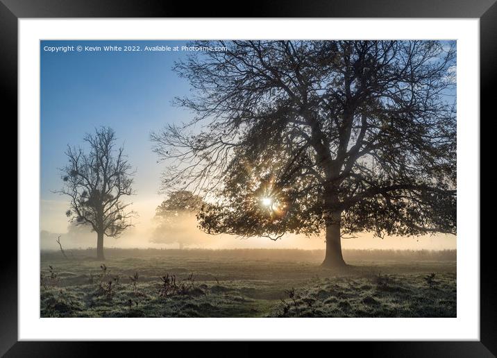 Sunlight  through the mist Framed Mounted Print by Kevin White