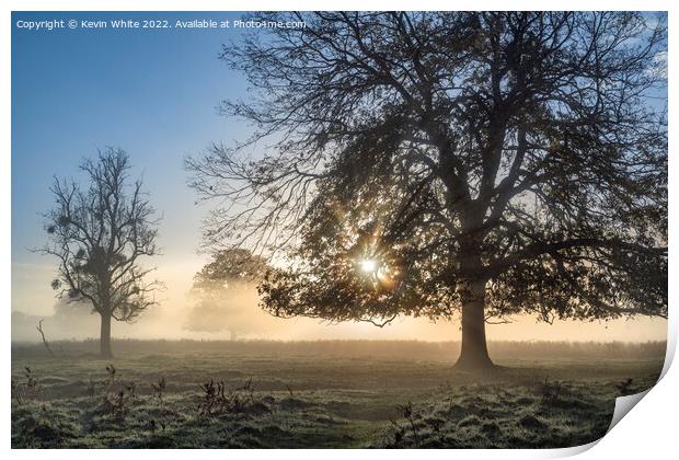 Sunlight  through the mist Print by Kevin White