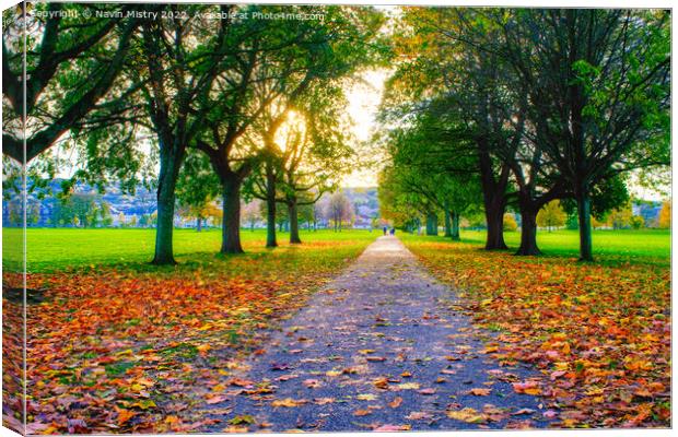 The South Inch, Perth in Autumn Canvas Print by Navin Mistry