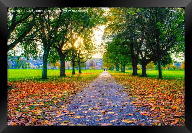 The South Inch, Perth in Autumn Framed Print by Navin Mistry