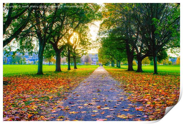 The South Inch, Perth in Autumn Print by Navin Mistry