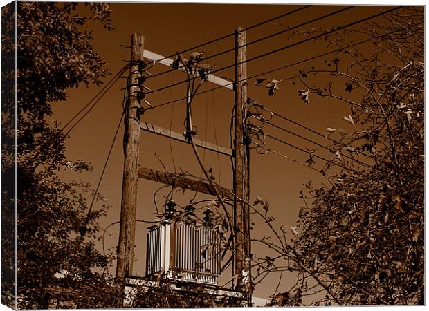 Electricity Transformer Canvas Print by Louise Godwin