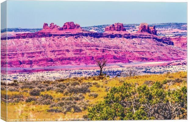 Dead Tree Moab Fault Arches National Park Moab Utah  Canvas Print by William Perry