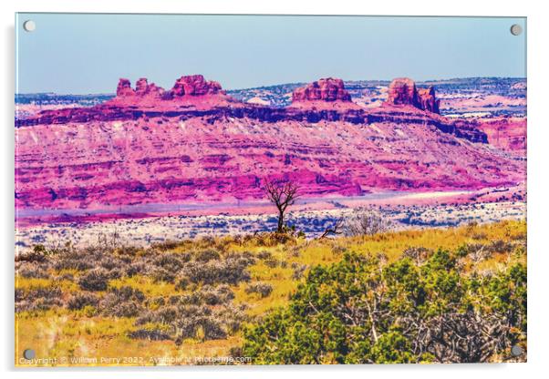 Dead Tree Moab Fault Arches National Park Moab Utah  Acrylic by William Perry