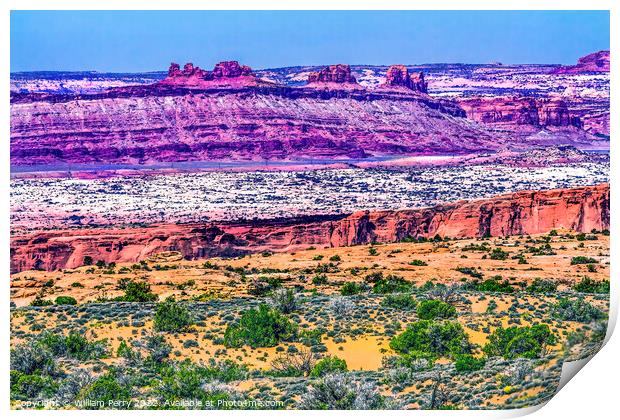 Yellow Grass Lands Moab Fault Arches National Park Moab Utah  Print by William Perry