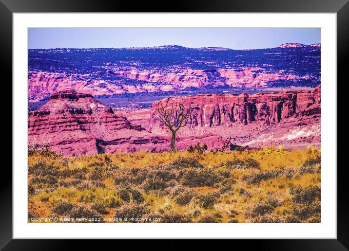 Dead Tree Moab Fault Arches National Park Moab Utah  Framed Mounted Print by William Perry