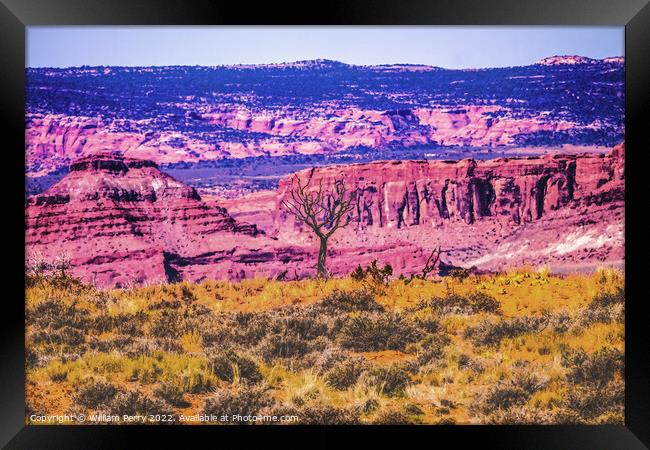 Dead Tree Moab Fault Arches National Park Moab Utah  Framed Print by William Perry