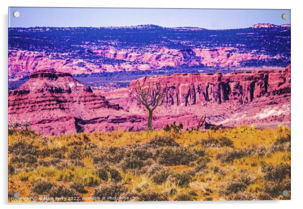 Dead Tree Moab Fault Arches National Park Moab Utah  Acrylic by William Perry