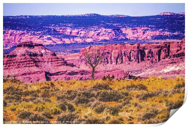 Dead Tree Moab Fault Arches National Park Moab Utah  Print by William Perry