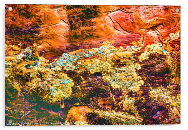 Rock Canyon Abstract Devils Garden Arches National Park Moab Utah Acrylic by William Perry