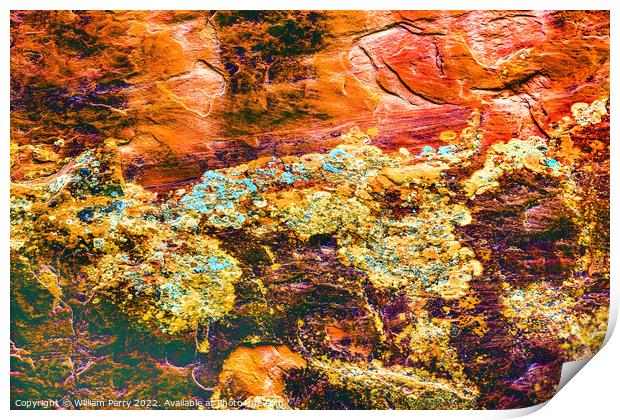 Rock Canyon Abstract Devils Garden Arches National Park Moab Utah Print by William Perry