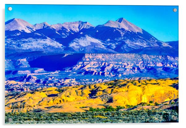 La Sal Mountains Rock Canyon Arches National Park Moab Utah  Acrylic by William Perry
