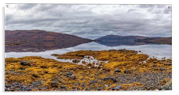 Majestic Loch Sunart Acrylic by James Marsden
