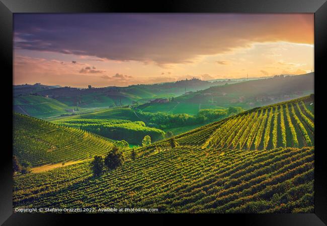 Langhe vineyards at sunrise. Neive, Piedmont. Framed Print by Stefano Orazzini