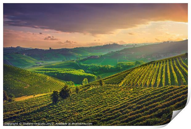 Langhe vineyards at sunrise. Neive, Piedmont. Print by Stefano Orazzini