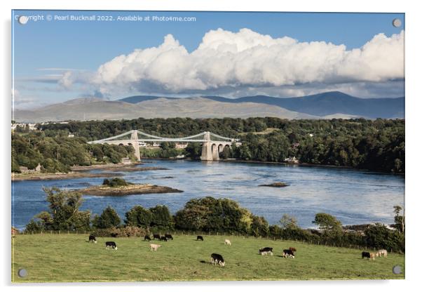 Menai Strait and Suspension Bridge Anglesey Acrylic by Pearl Bucknall