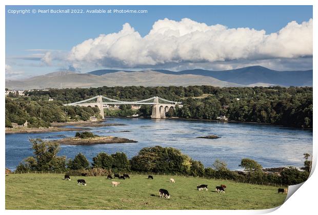 Menai Strait and Suspension Bridge Anglesey Print by Pearl Bucknall