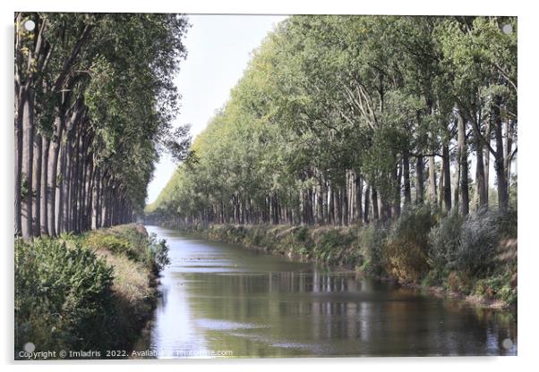 Schipdonk Canal near Damme, Belgium Acrylic by Imladris 