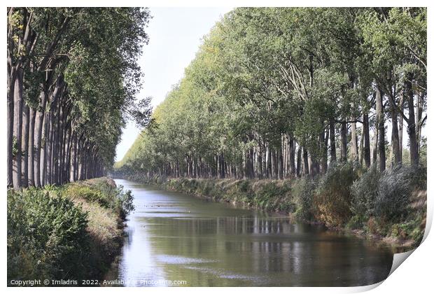 Schipdonk Canal near Damme, Belgium Print by Imladris 