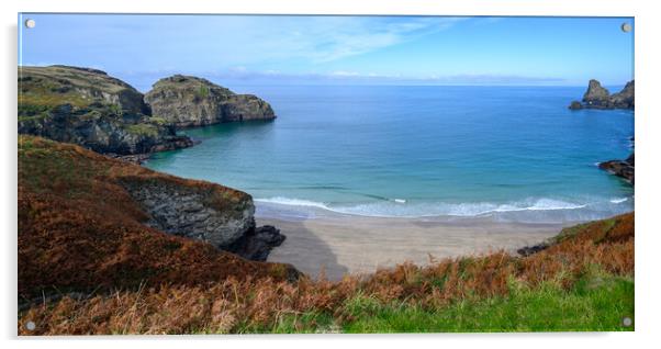 Bossiney Bay Panorama, Cornwall Acrylic by Tracey Turner