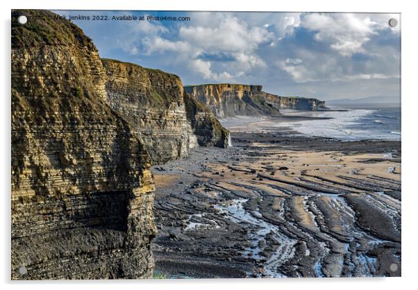 Cliffs Glamorgan Heritage Coast South Wales Acrylic by Nick Jenkins