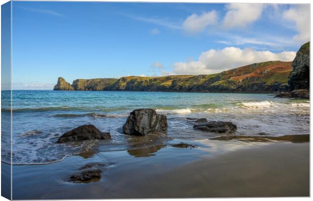 Bossiney Beach in Cornwall Canvas Print by Tracey Turner