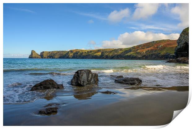Bossiney Beach in Cornwall Print by Tracey Turner