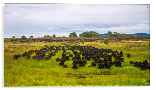 Rearing the Turf Acrylic by Margaret Ryan