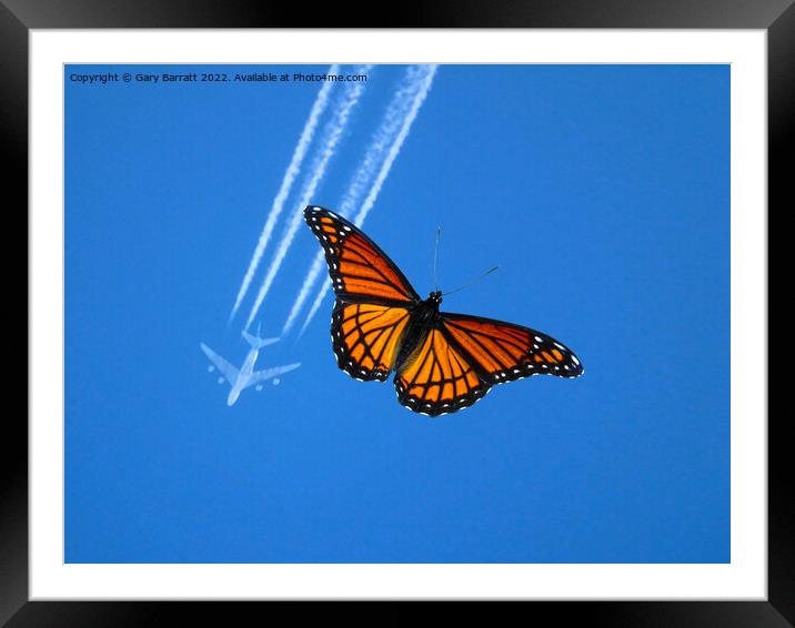A Nice Day To Fly! Framed Mounted Print by Gary Barratt
