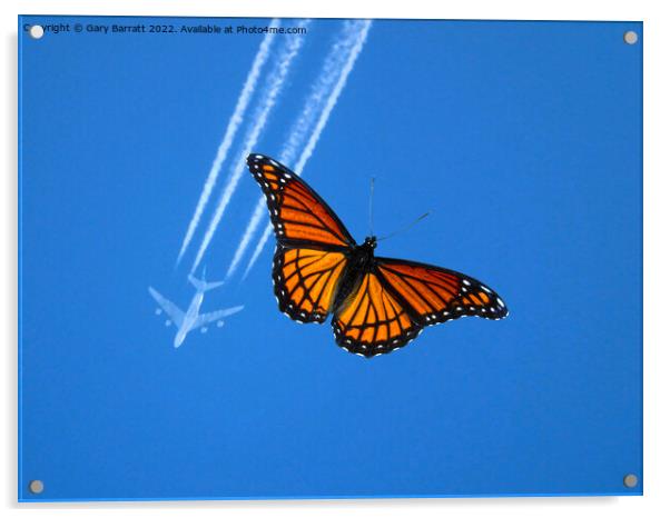 A Nice Day To Fly! Acrylic by Gary Barratt