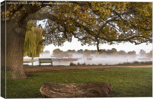 Sitting under the trees watching the mist Canvas Print by Kevin White
