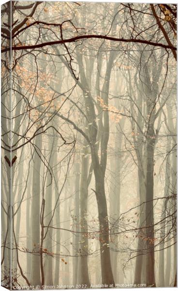 Woodland architecture Canvas Print by Simon Johnson