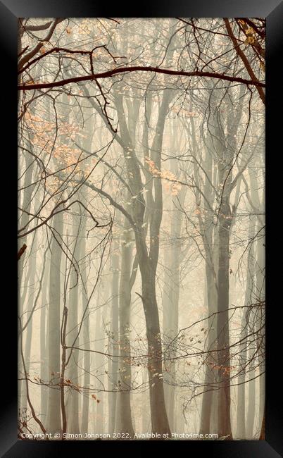 Woodland architecture Framed Print by Simon Johnson