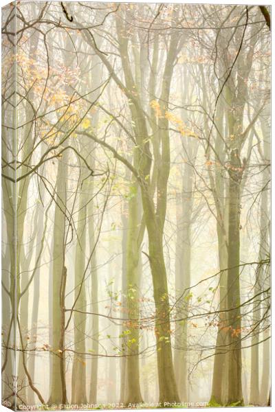 Woodland Architecture  Canvas Print by Simon Johnson