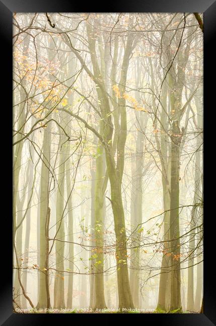 Woodland Architecture  Framed Print by Simon Johnson