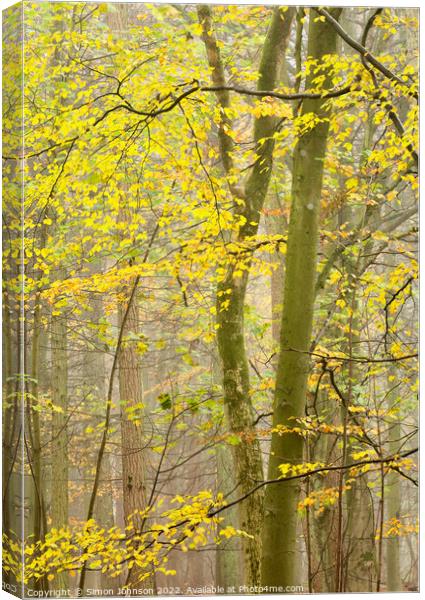 Woodland leaves  Canvas Print by Simon Johnson