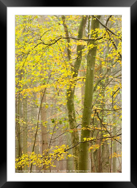 Woodland leaves  Framed Mounted Print by Simon Johnson