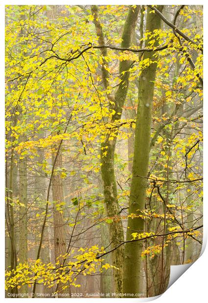 Woodland leaves  Print by Simon Johnson