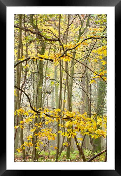 Woodland chaos  Framed Mounted Print by Simon Johnson