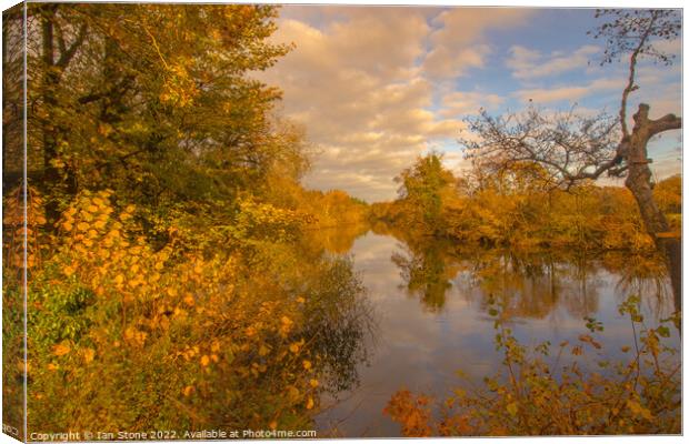 Golden Reflections on the River Dart Canvas Print by Ian Stone
