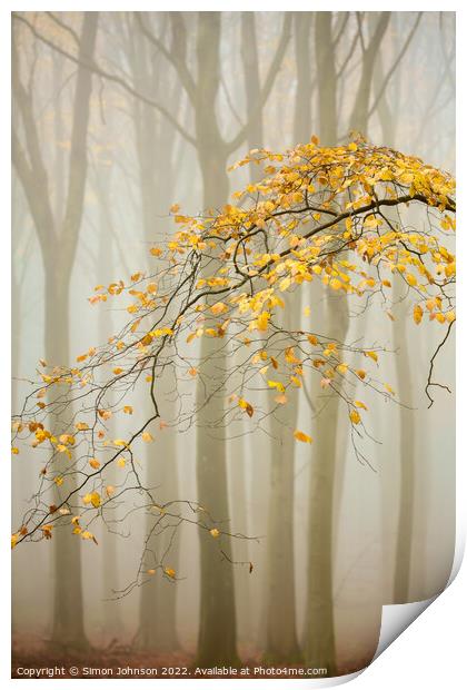 Misty woodland  Print by Simon Johnson