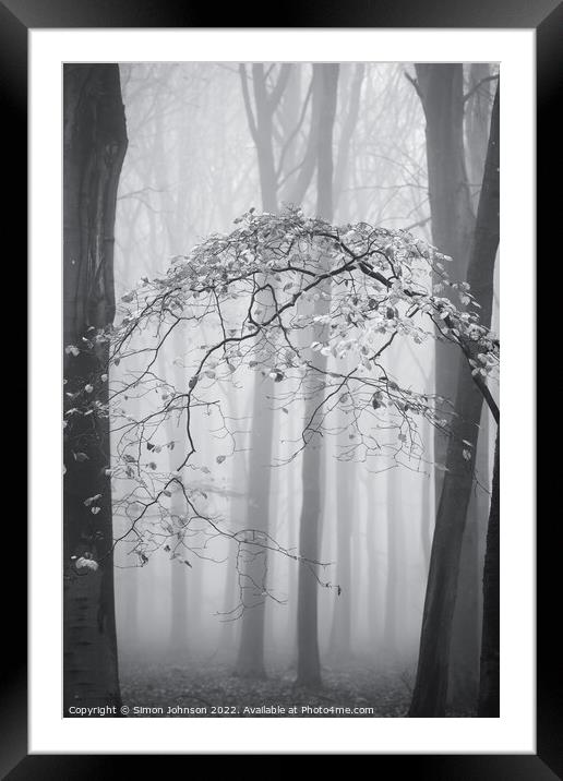 Woodland Architecture monochrome  Framed Mounted Print by Simon Johnson