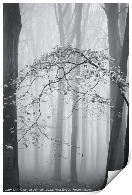 Woodland Architecture monochrome  Print by Simon Johnson