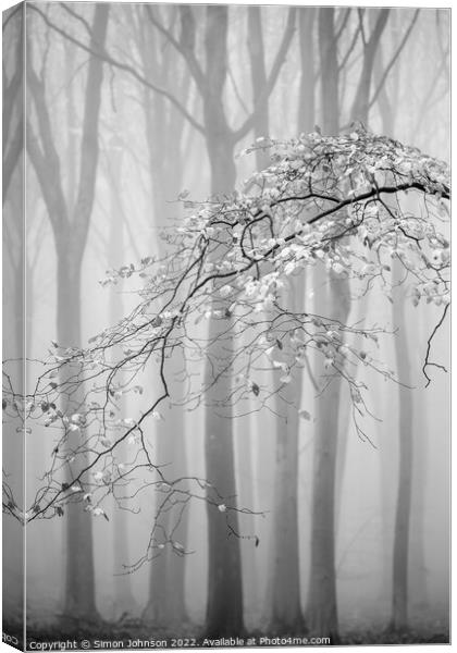 Misty woodland Monochrome  Canvas Print by Simon Johnson
