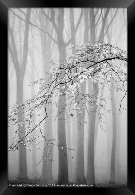 Misty woodland Monochrome  Framed Print by Simon Johnson