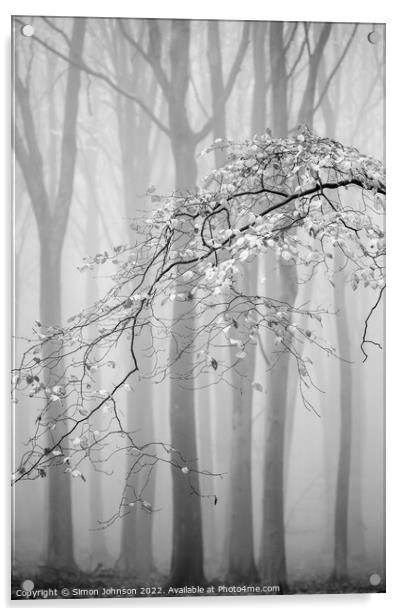 Misty woodland Monochrome  Acrylic by Simon Johnson
