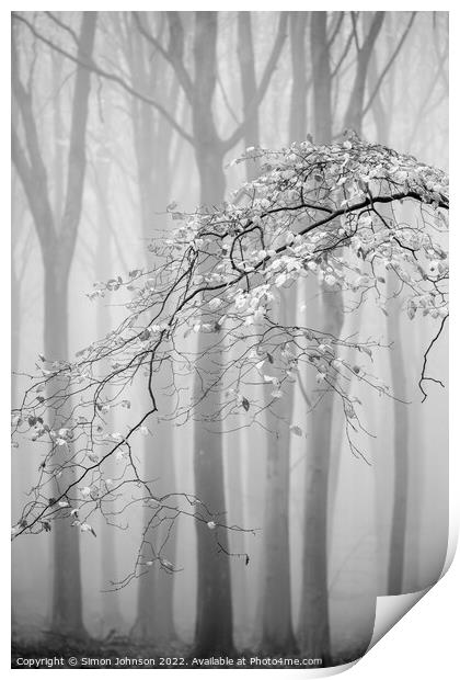 Misty woodland Monochrome  Print by Simon Johnson